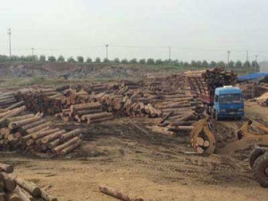 a226529ccd70867dda5c0098cab906e5.jpg 案例展示六(图1)