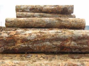 Kaiyun体育精选实木拼板，供应家具厂与全屋定制品牌