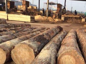 开云体育自动化热压贴面生产线